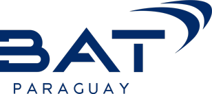 BAT LOGO
